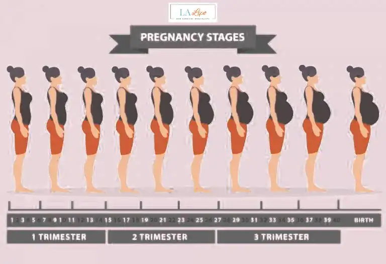 First Trimester (Weeks 1–12): Early Changes You Might Not Notice Farnborough